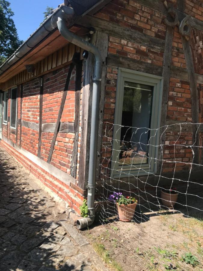 Gemuetliche Ferienwohnung An Der Elbe Bleckede Ngoại thất bức ảnh